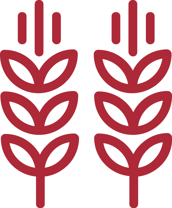 //e360bible.org/wp-content/uploads/sites/2/2016/11/Ministry.png