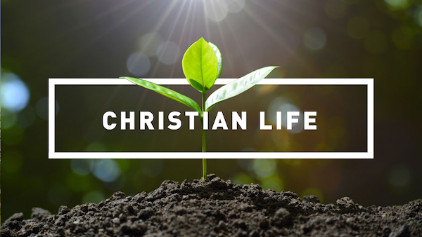 BI272: Christian Life