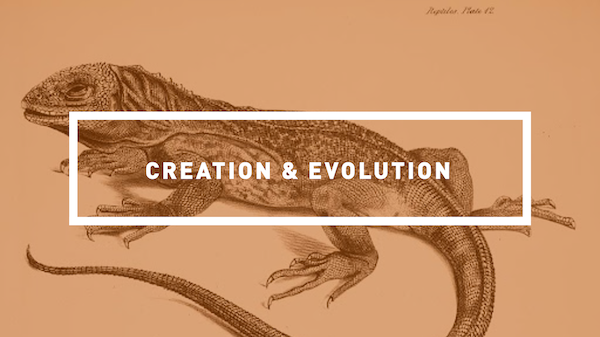 BI101: Creation and Evolution