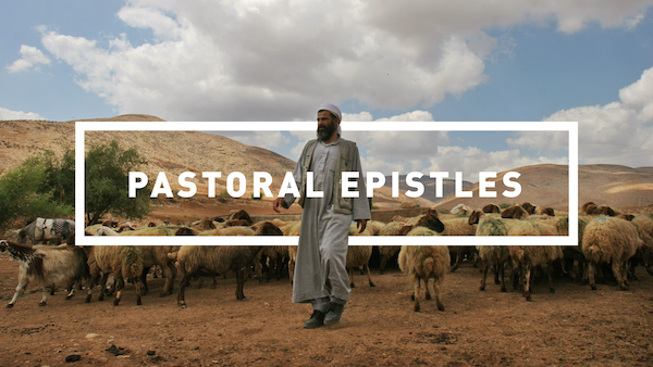 BI294: Pastoral Epistles