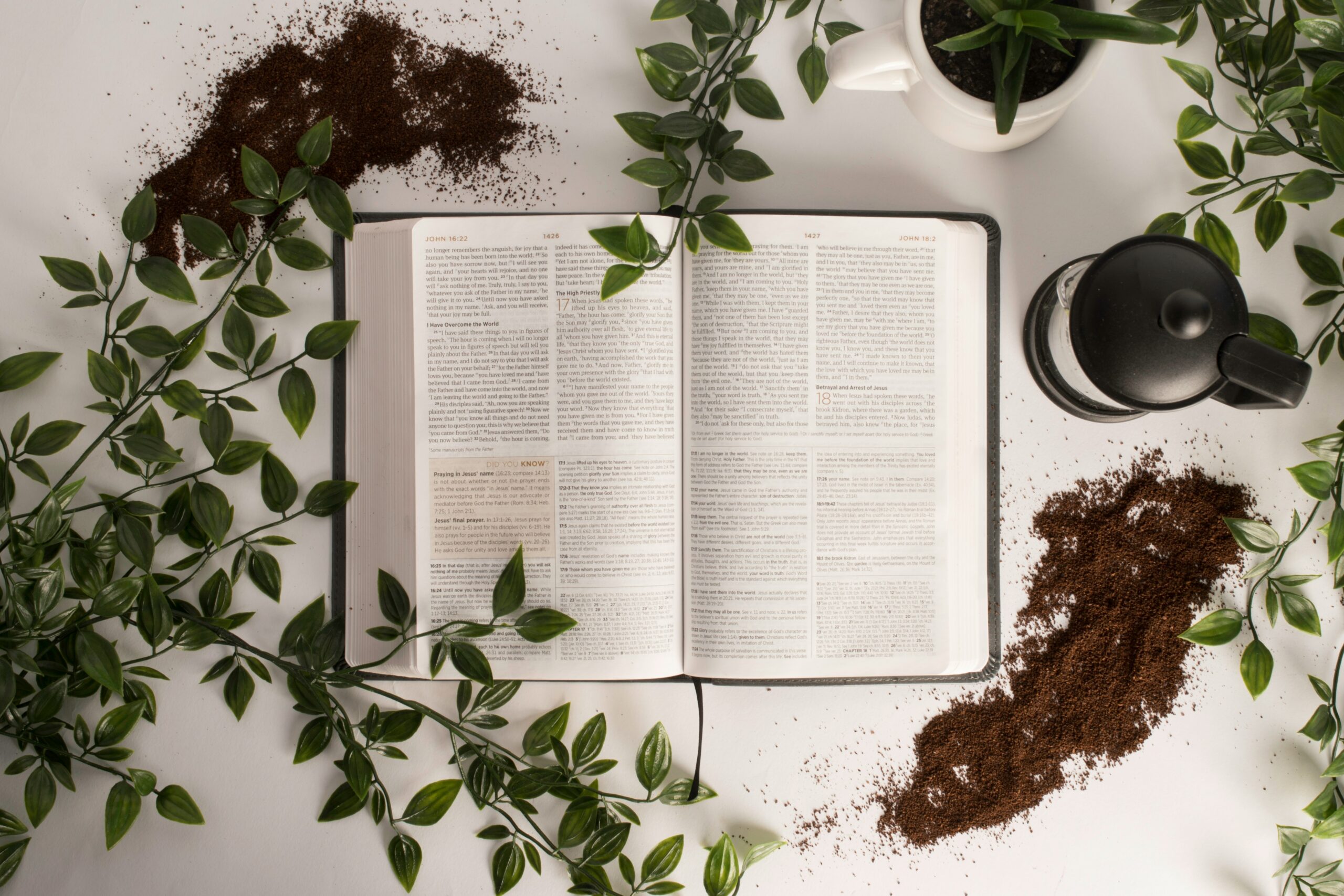 10 Best Christian Bible Study Books