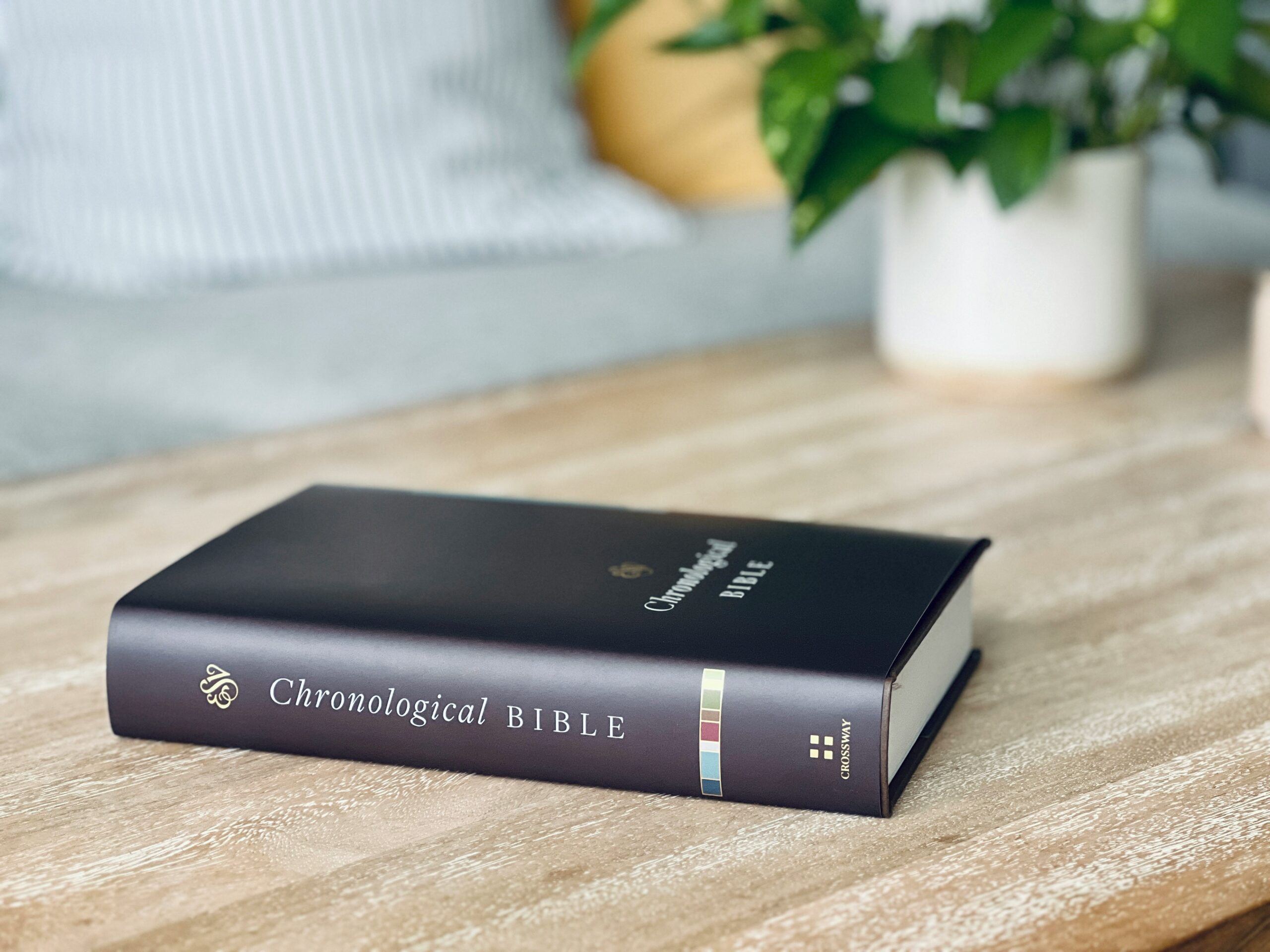 Storyline of the Bible themes of redemption, covenants, Israel and church.