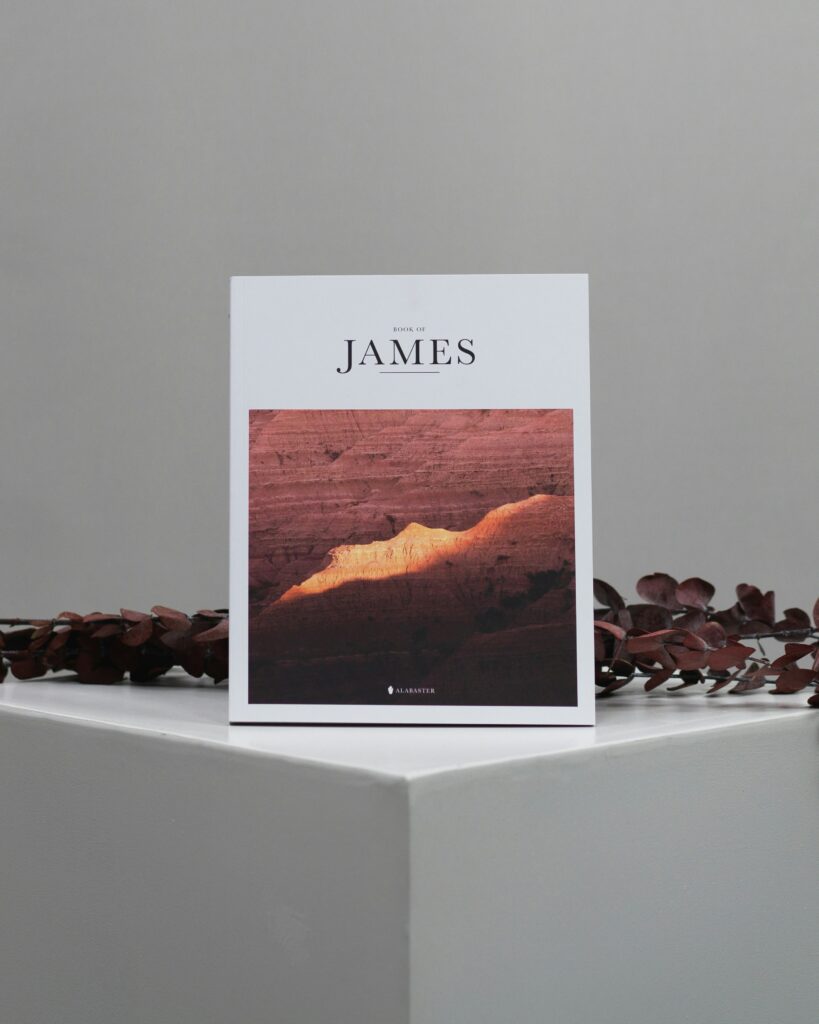 The book of James in the Bible